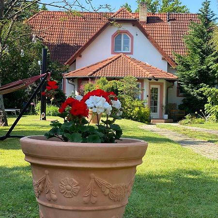 Vila EVIO Třeboň Exteriér fotografie