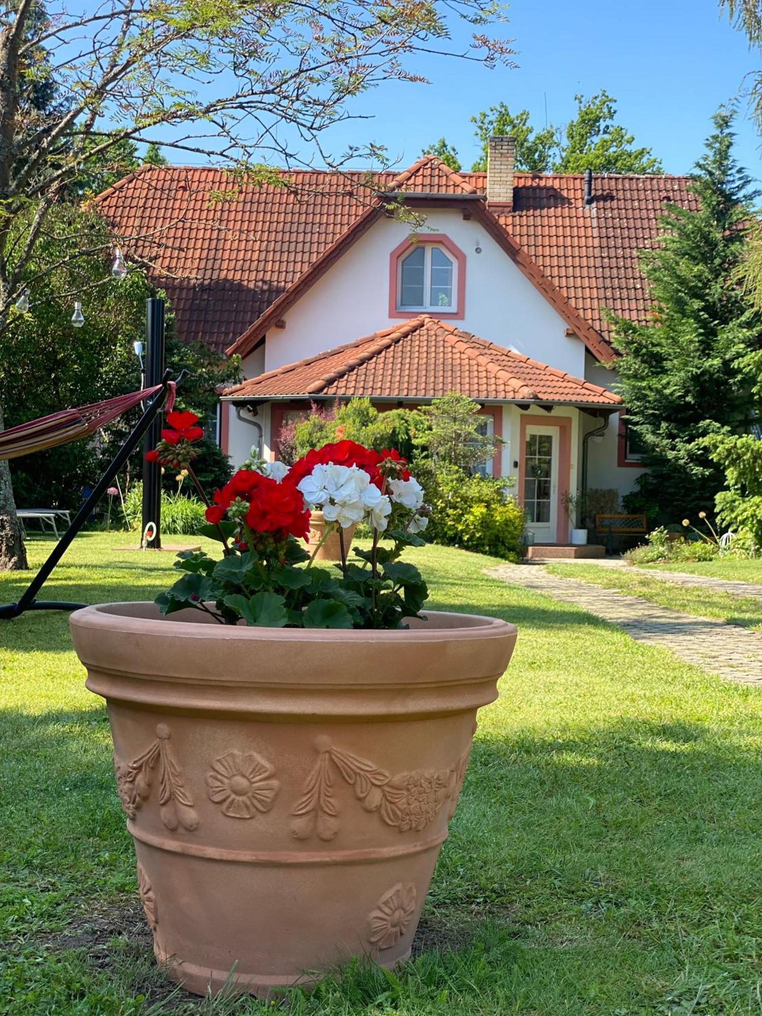 Vila EVIO Třeboň Exteriér fotografie