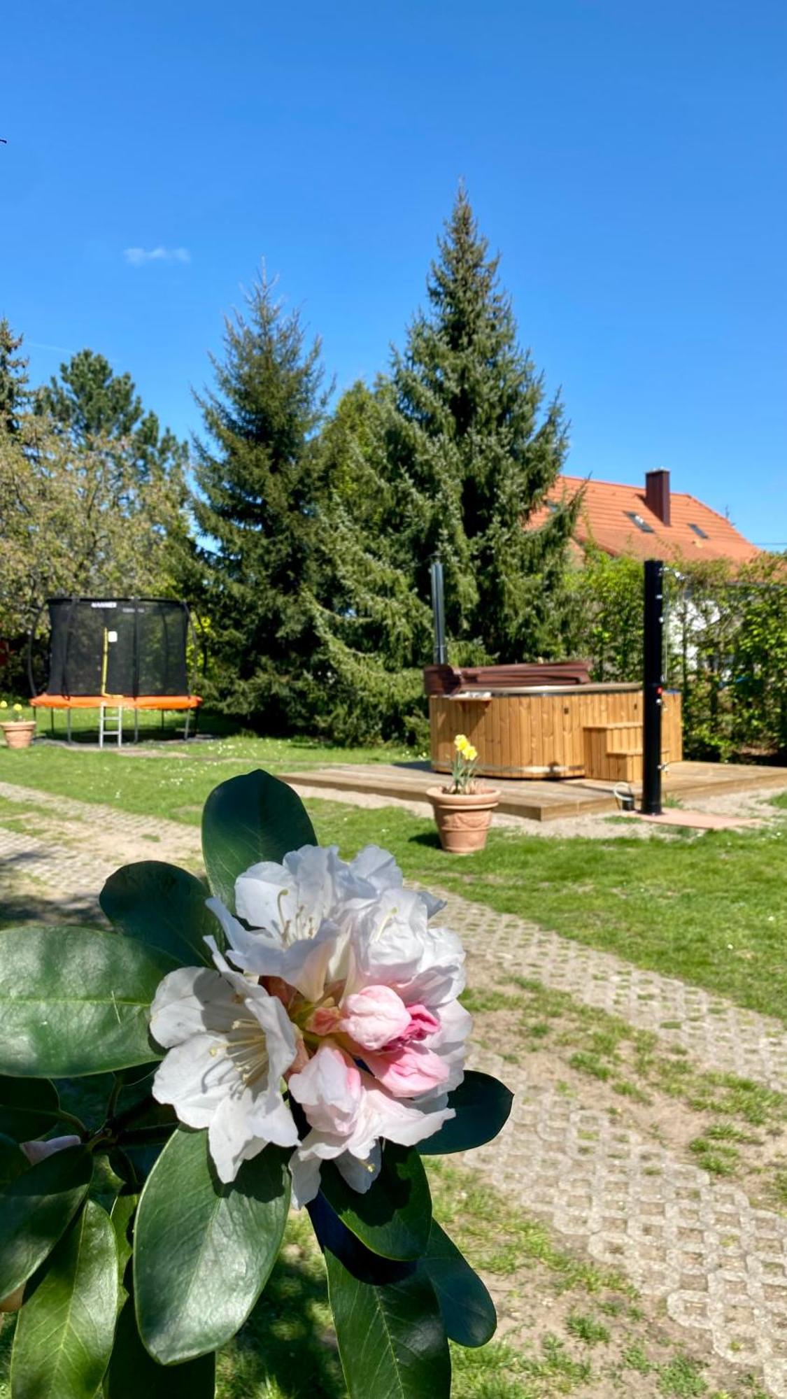 Vila EVIO Třeboň Exteriér fotografie